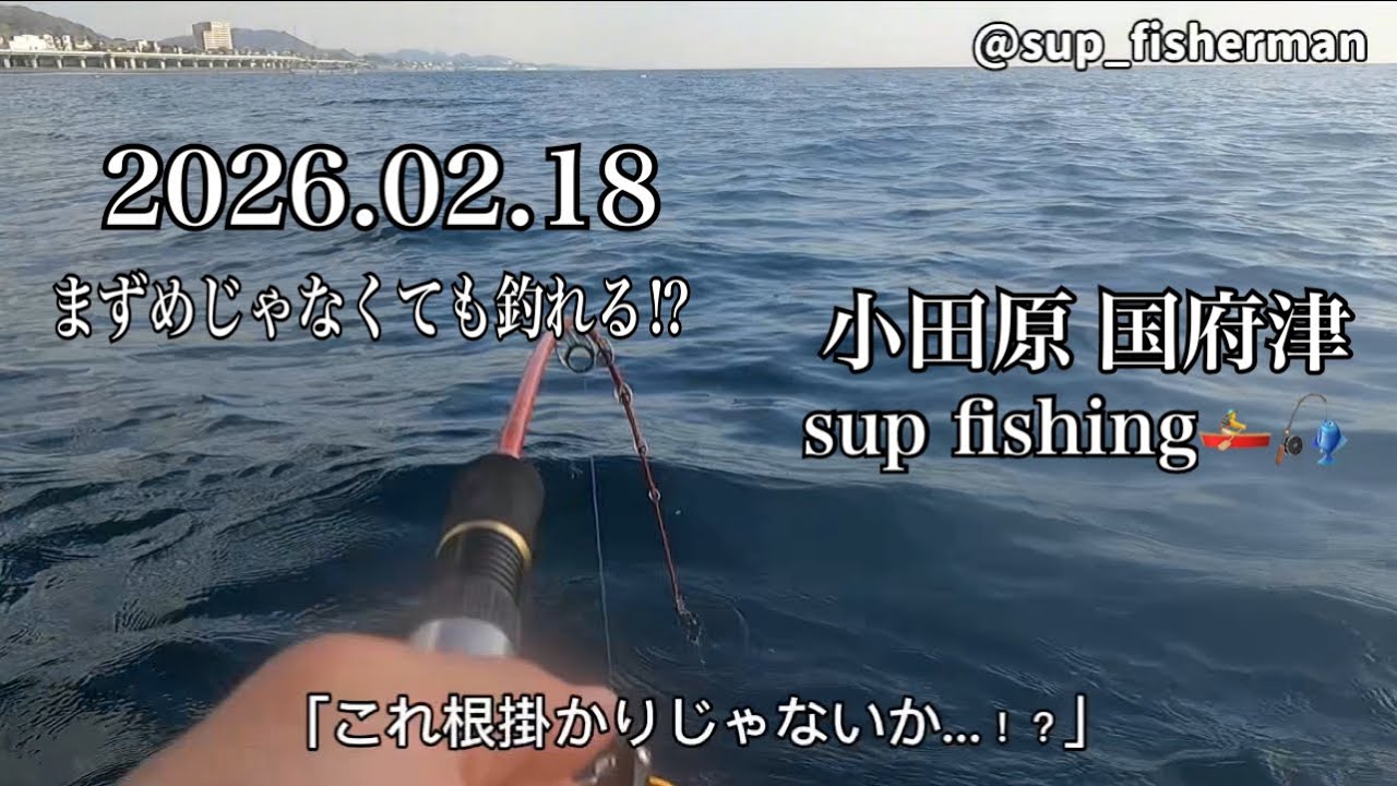 2026.02.18 sup fishing 🚣‍♂️🎣まずめじゃなくても釣れる⁉︎  in小田原国府津