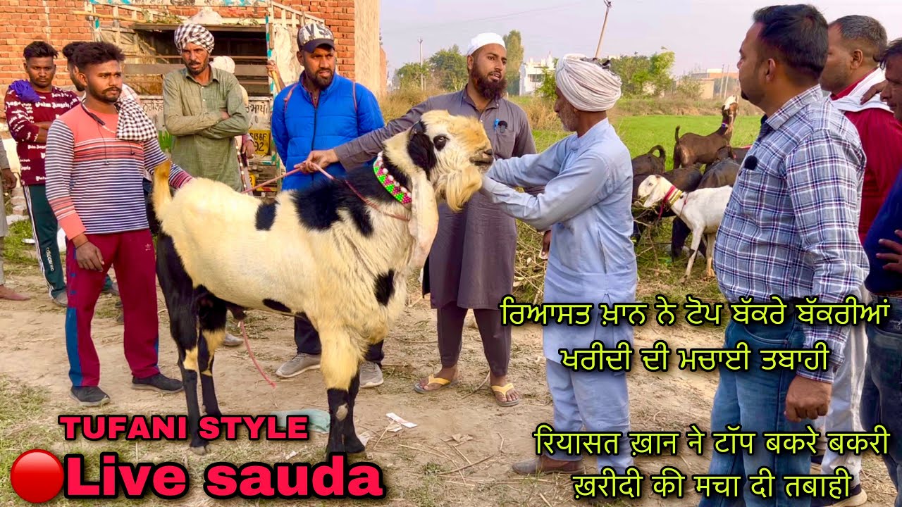 तबाही मचा दी रियासत ख़ान ने टॉप बकरे बकरी ख़रीदी की #live_sauda Mullanpur bakri bazar @farming baba