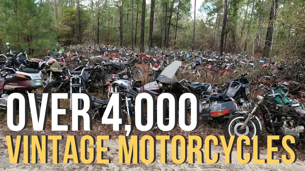 Epic Salvage Yard Adventure at Escambia Motorcycles - Vintage Bike Heaven! #vintagemotorcycles