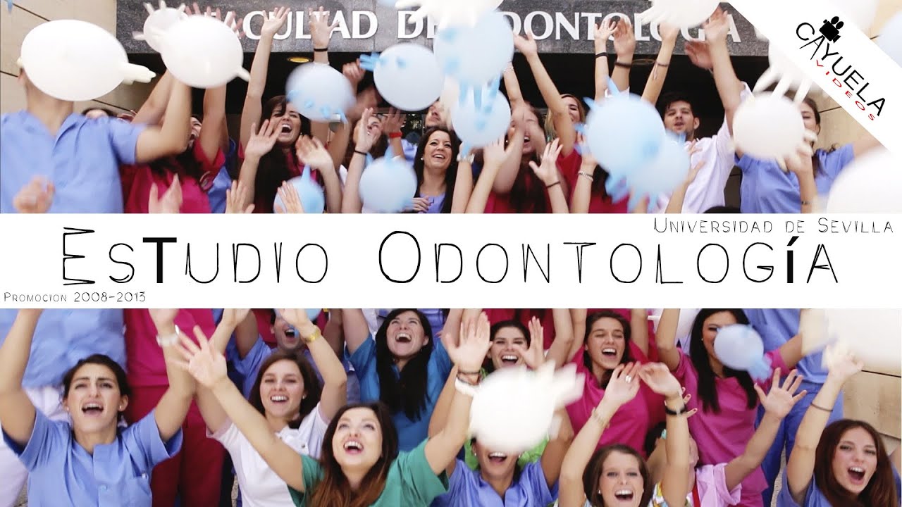 Estudio ODONTOLOGÍA - Universidad de Sevilla 2008 - 2013