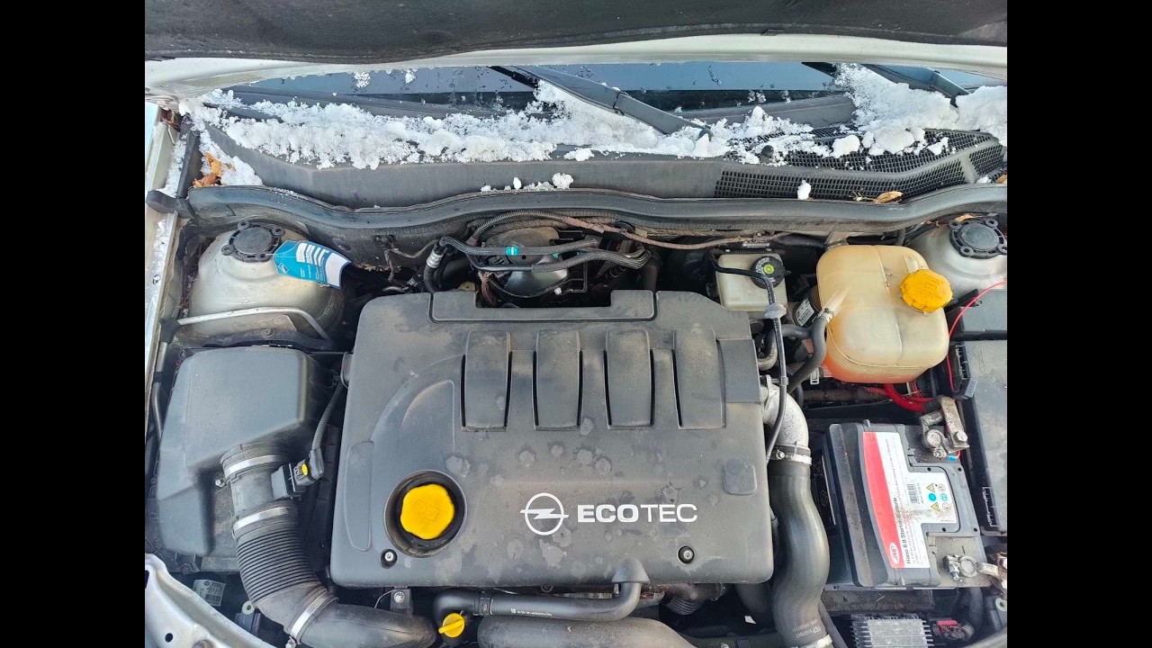 C1279 ДВС (Двигатель) Opel Astra H 1.9td Z19DT
