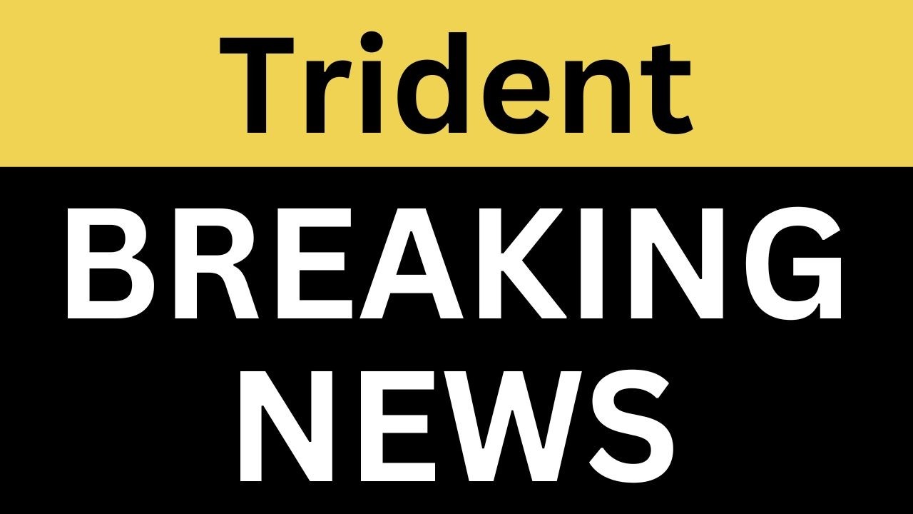 Trident Latest News | Trident Q1 Results | Trident Share News | Trident Breaking News | Trident News