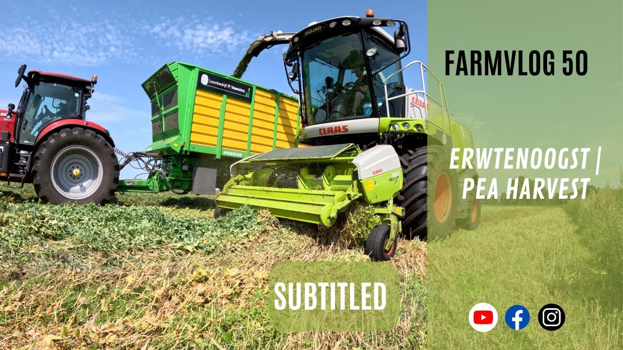 Farm Vlog 50: Erwten oogsten | Pea Harvest