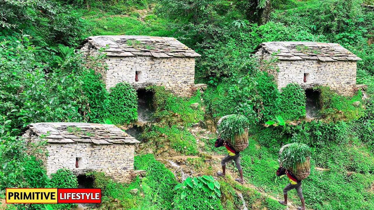 Himalayan Village People Life | Nepal | Very Hardworking Lifestyle of Nepali Himalayan Village