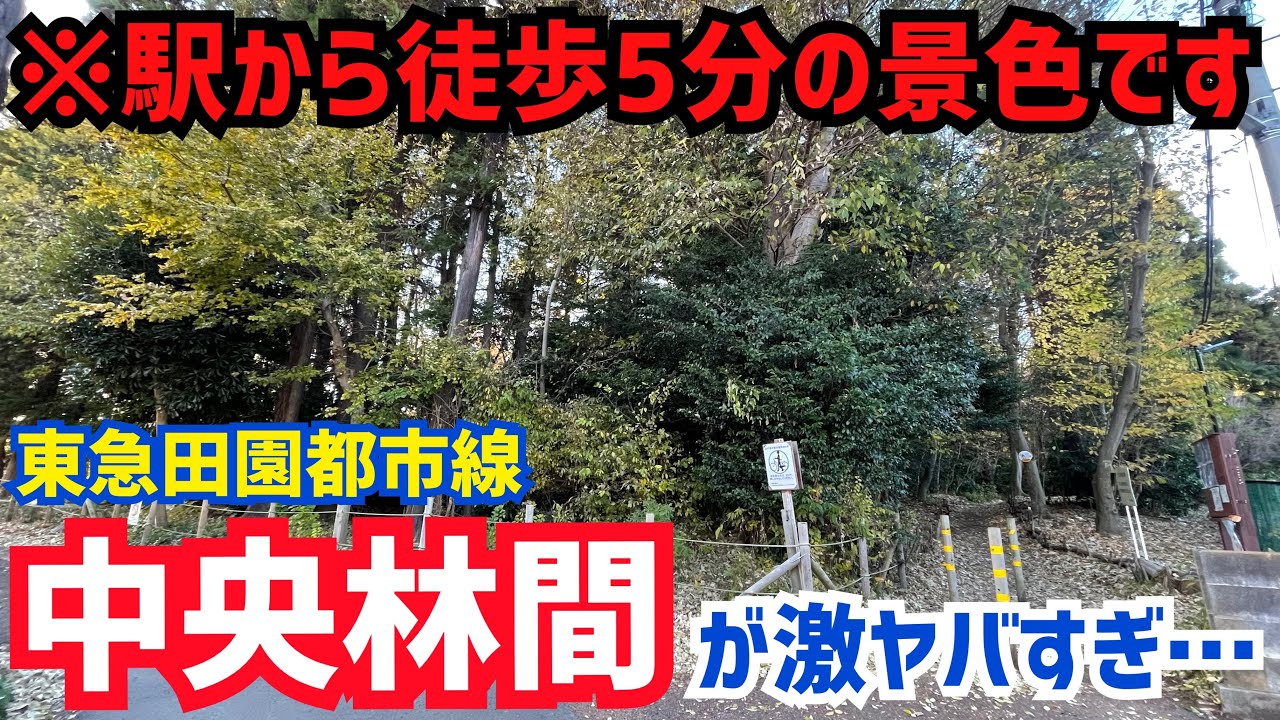 【驚愕】本当に森の中…？ 東急線の謎の終点『中央林間』は超便利で大成功な街だった【小田急】