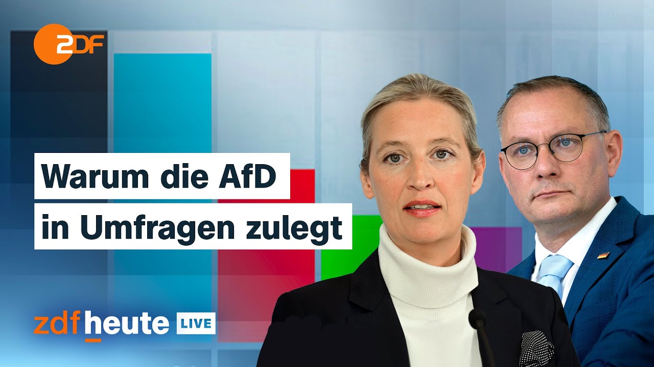 AfD erreicht höchsten Umfragewert – Was das für die nächsten Wahlen heißt | ZDFheute live analysiert