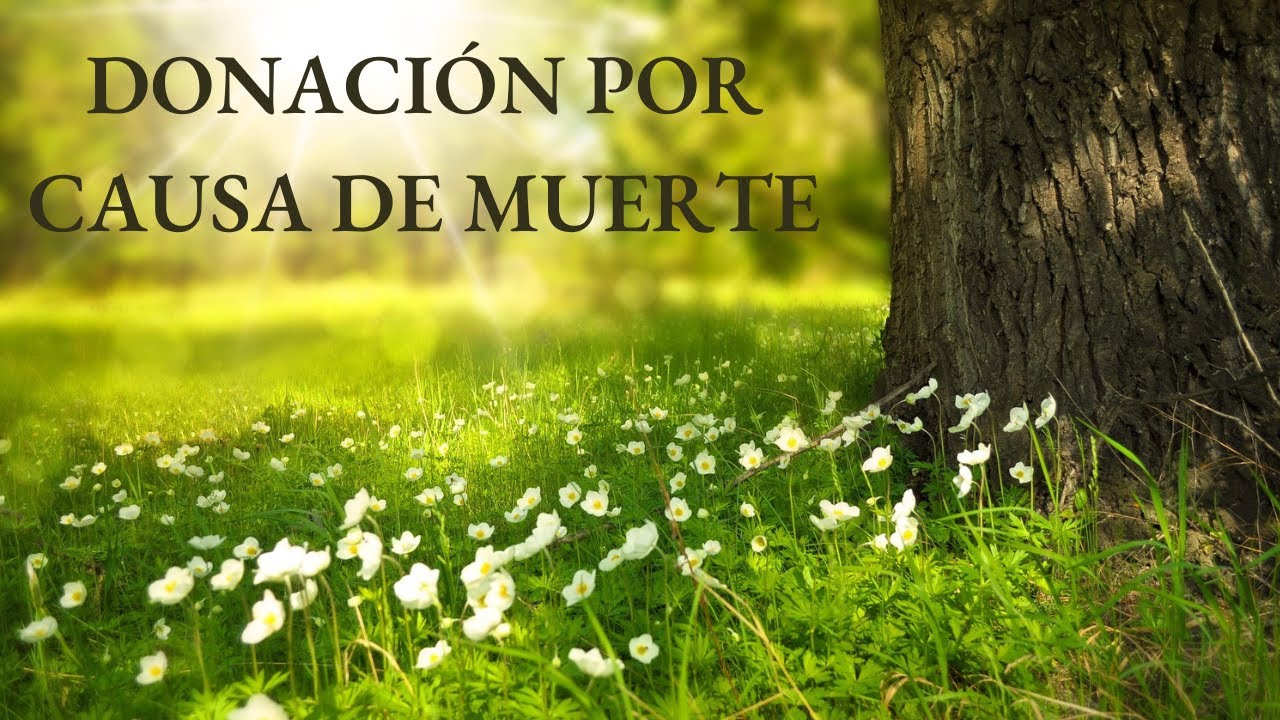 Donación por Causa de Muerte