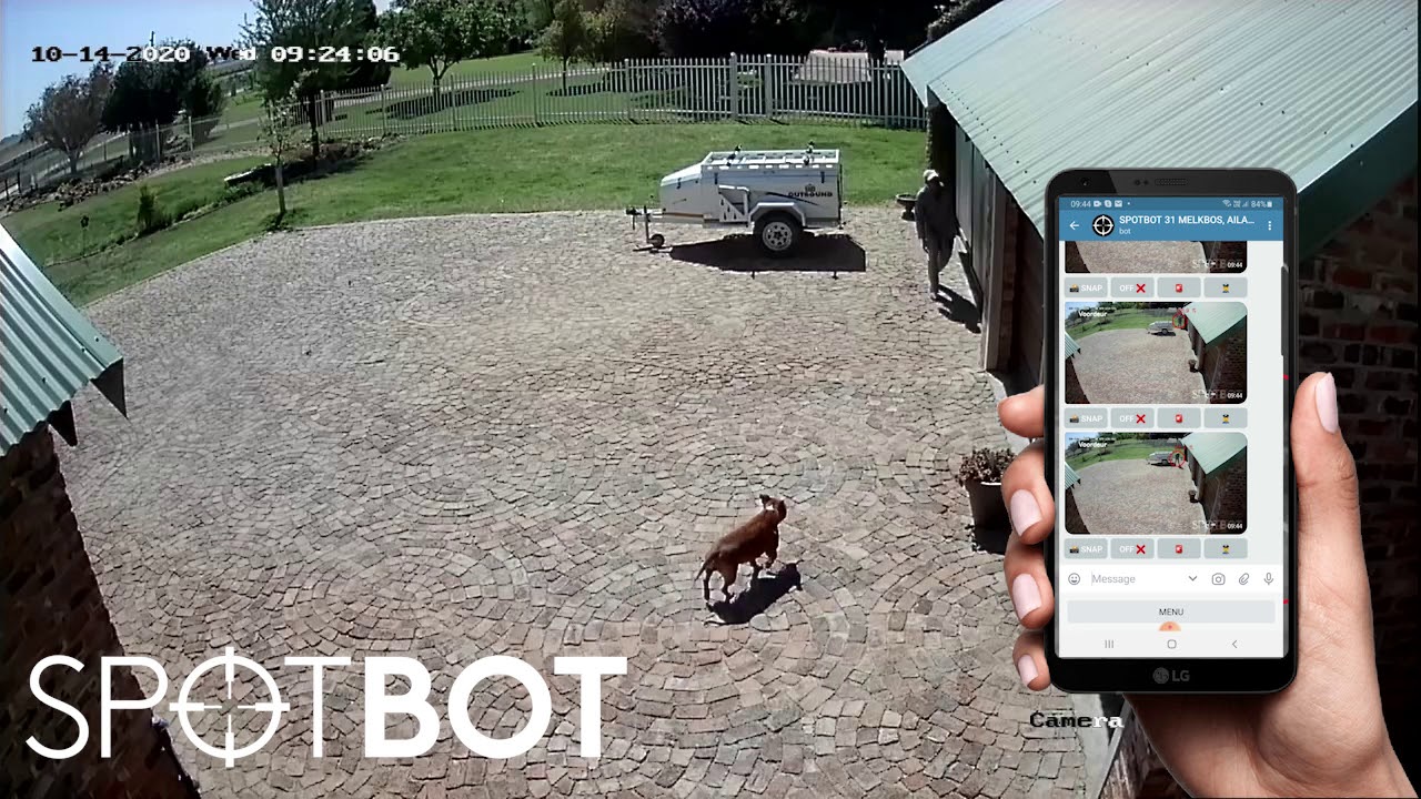 SPOTBOT detection video.