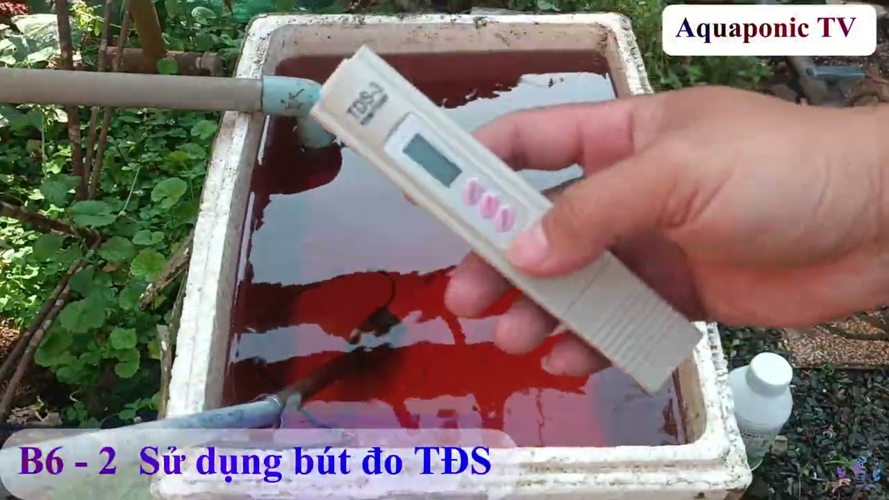 B6 - Sử dụng bút đo TĐS pha dung dịch thủy canh#aquaponics #rauthuycanh #nft