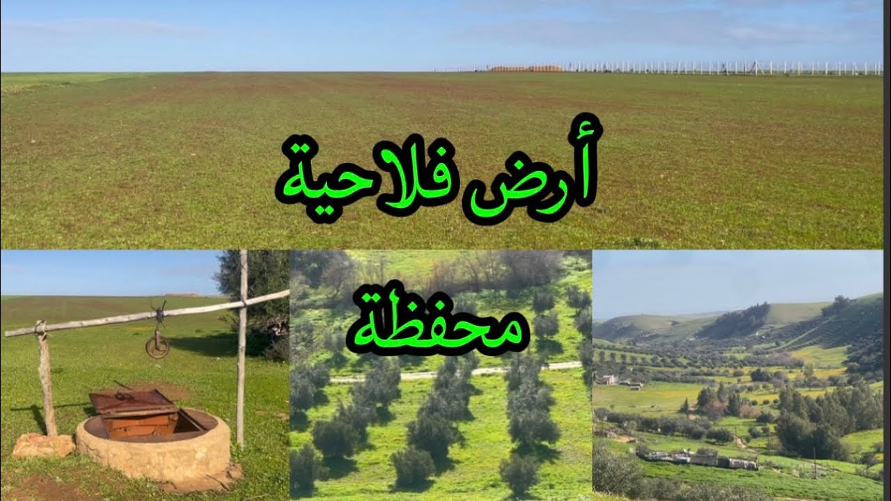 أرض فلاحية محفظة بين تيفلت وخميسات 