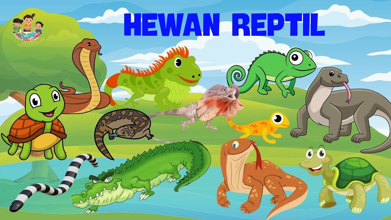 Belajar Mengenal Nama-Nama Hewan Reptil - Video Edukasi Anak || Dunia Anak Cerdas