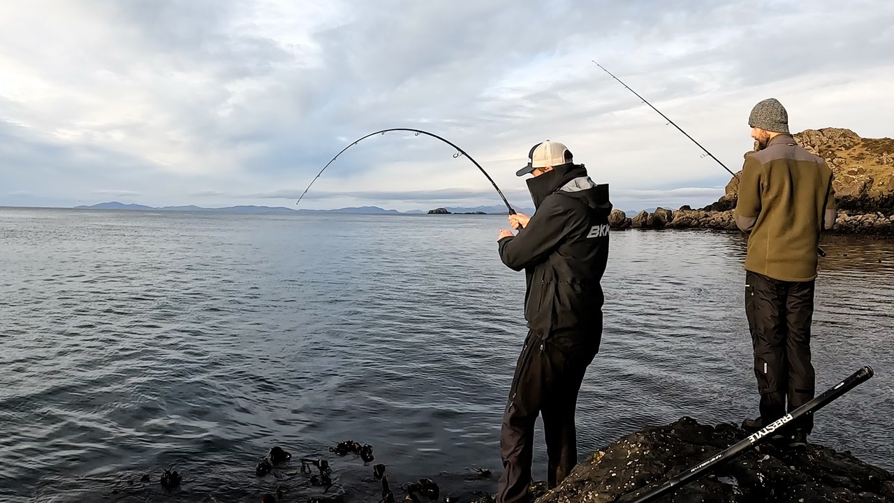Maybe My BEST UK Shore Fishing Session, Yet!