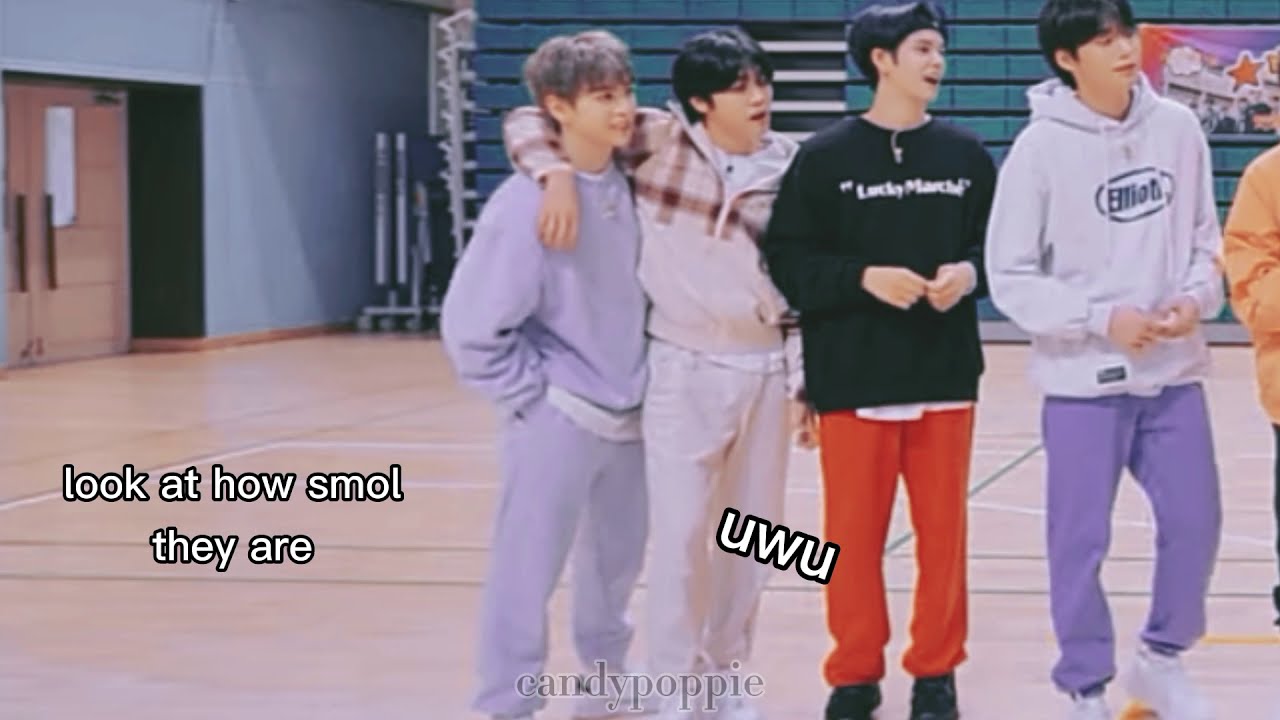 [cravity] Seongmin & Allen cute smol couple,, +on crack
