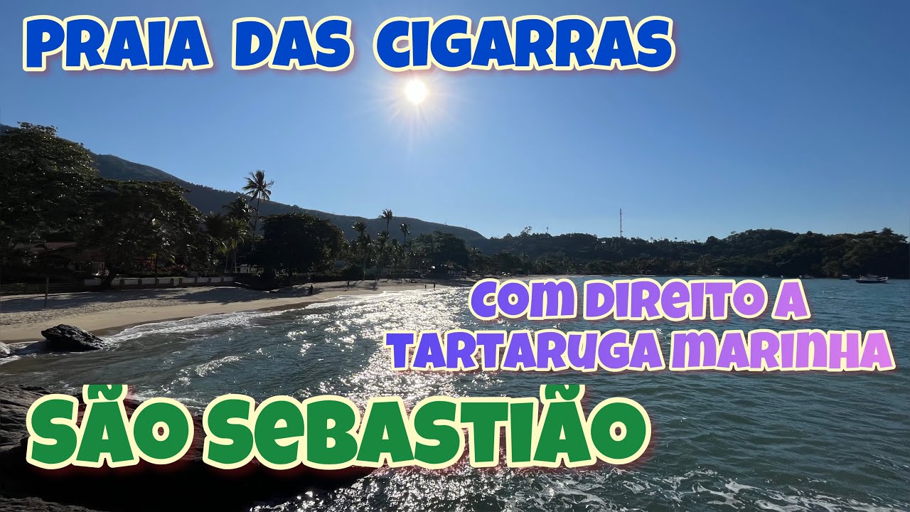 SÃO SEBASTIÃO PRAIA DAS CIGARRAS COM DIREITO A SHOW DE TARTARUGA MARINHA