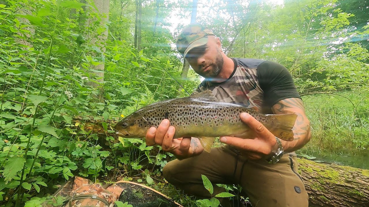 Pstrągi z małej rzeki 2025. Braki wody i walka z chwastami.