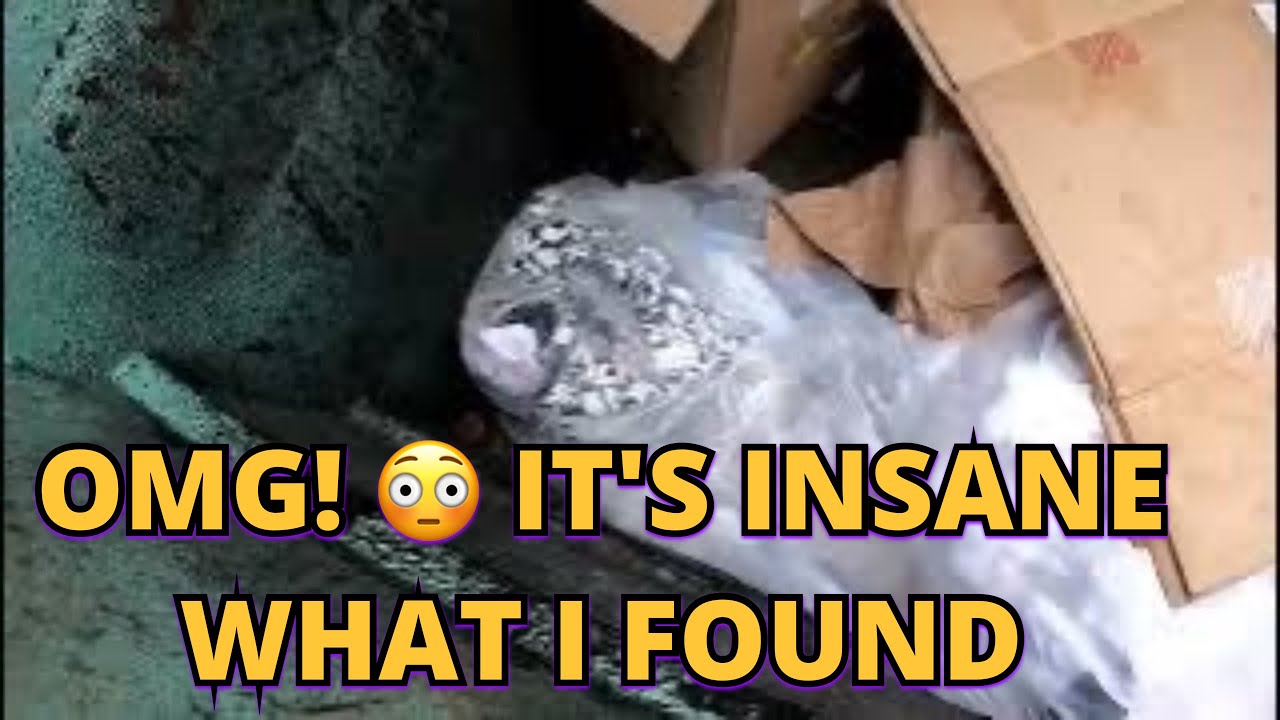 DUMPSTER DIVING   OMG! IT'S INSANE WHAT I FOUND BURIED UNDER All THESE BAGS AND BOXES!!  JACKPOT👀