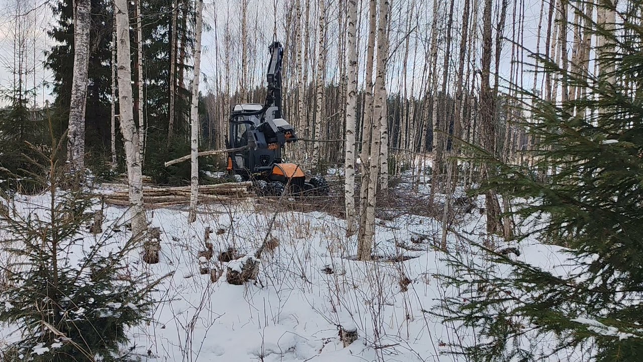 Harvennusta Usewoodilla, kuvaus vaikeuksia ja puhelinkin lopettaa kuvauksen kylmyyden takia