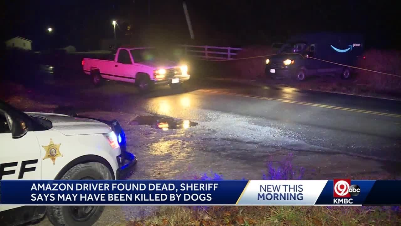 Amazon delivery driver mauled to death by dogs