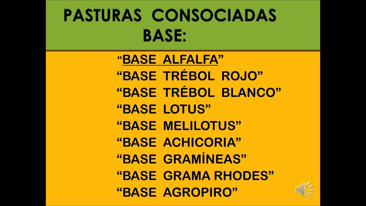 VIDEO 28    MEZCLAS FORRAJERAS.