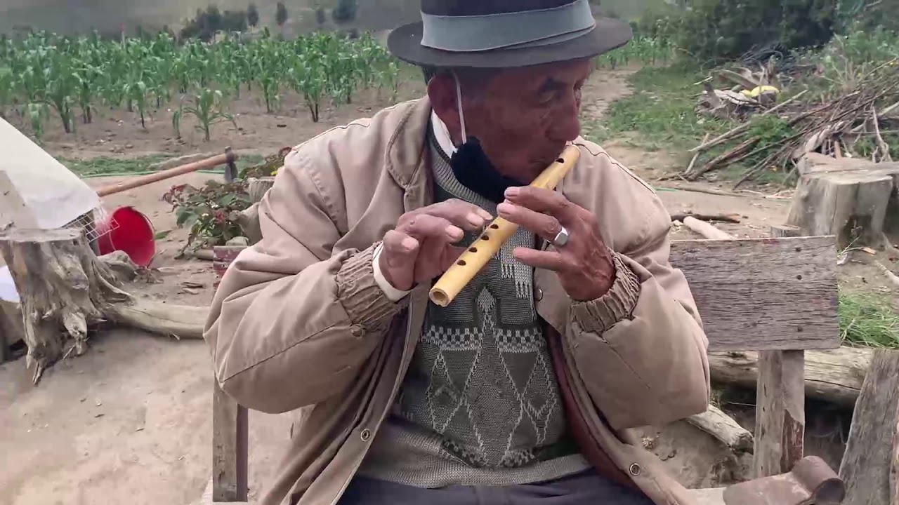Bombos y Flautas de Cochasqui