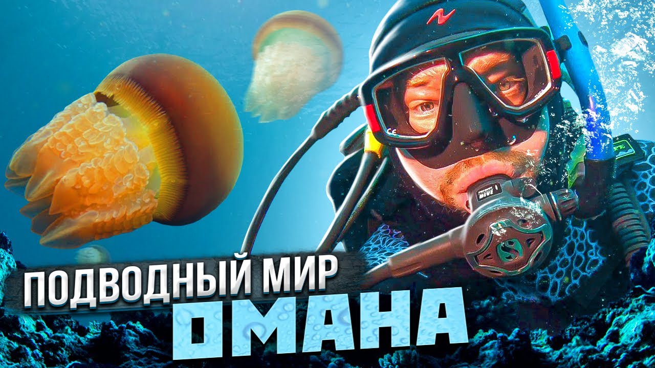Подводный мир Омана