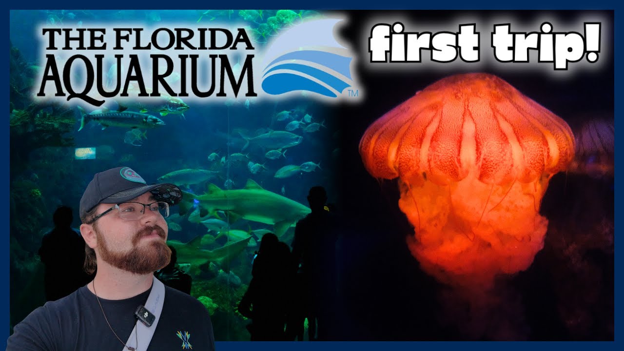 Our First Time at The Florida Aquarium! Full Tour and the New Tide Pool!