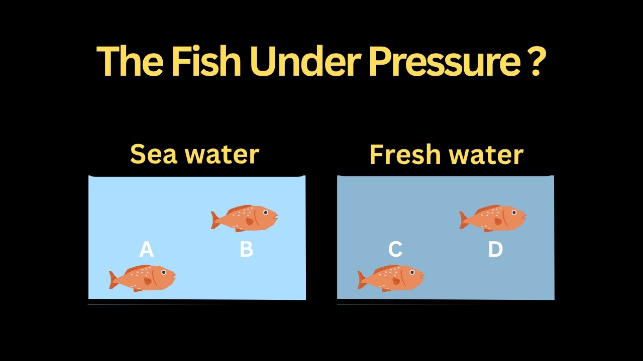This Simple Fish Tank Puzzle Tricks Everyone | Pressure Physics Explained!