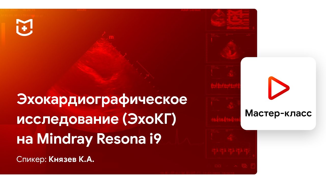 Эхокардиографическое исследование (ЭхоКГ) на Mindray Resona i9