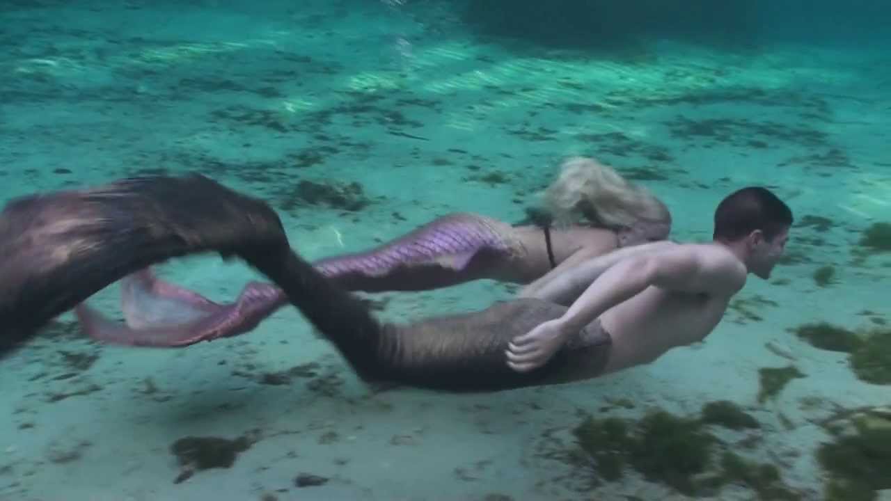 CC the Manatee and the Merpeople wmv