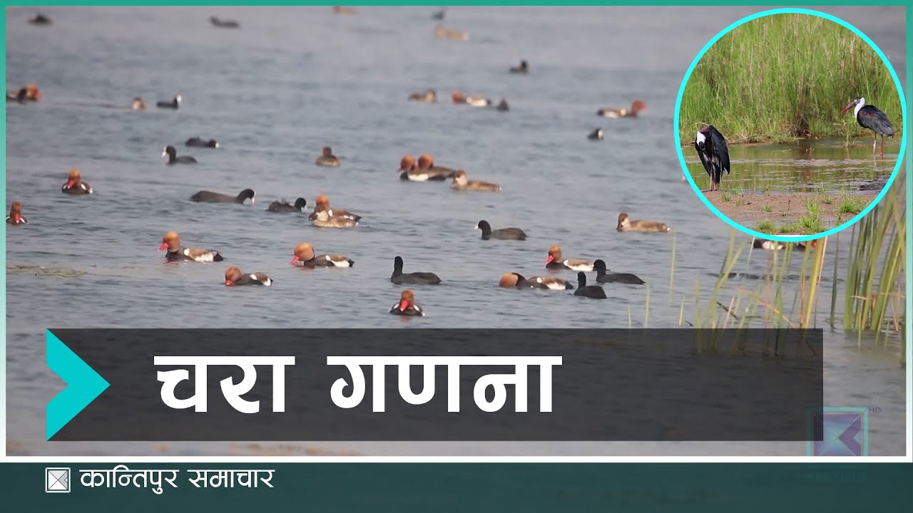 कति छन् मुलुकभर पानीचराको संख्या  | Kantipur Samachar