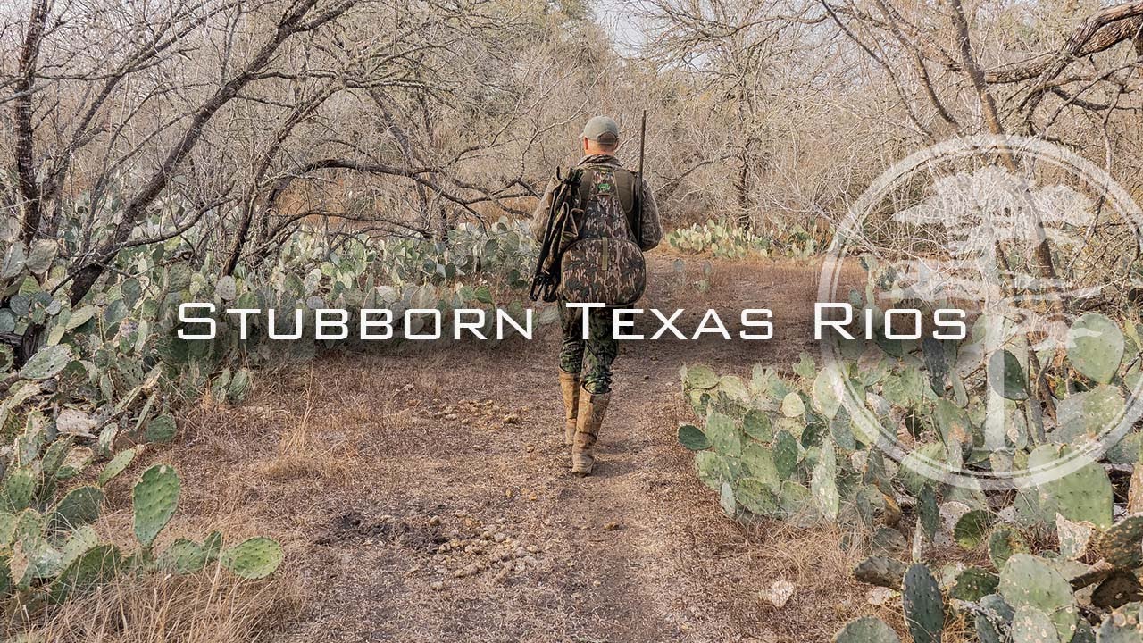 Turkey Hunting - Stubborn TEXAS RIOS