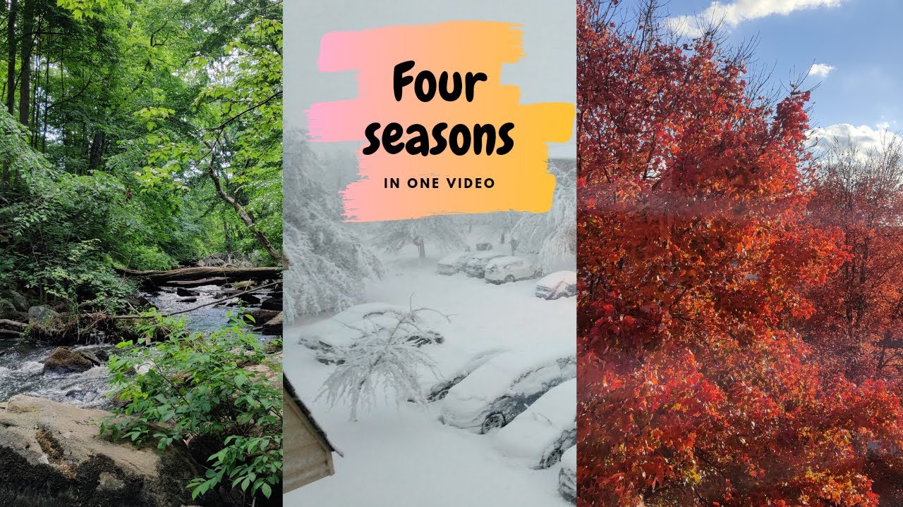 Four Seasons in One video
