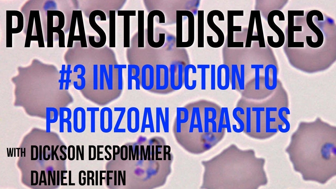 Parasitic Diseases Lectures #3: Introduction to Protozoan Parasites