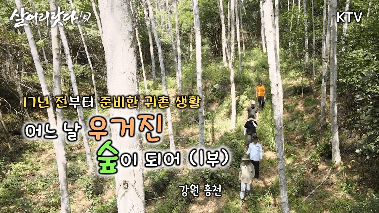 (강원 홍천) 1부 - 어느 날 우거진 숲이 되어... ktv, koreatv, mountain, chili pepper, birch, local food (시즌5)