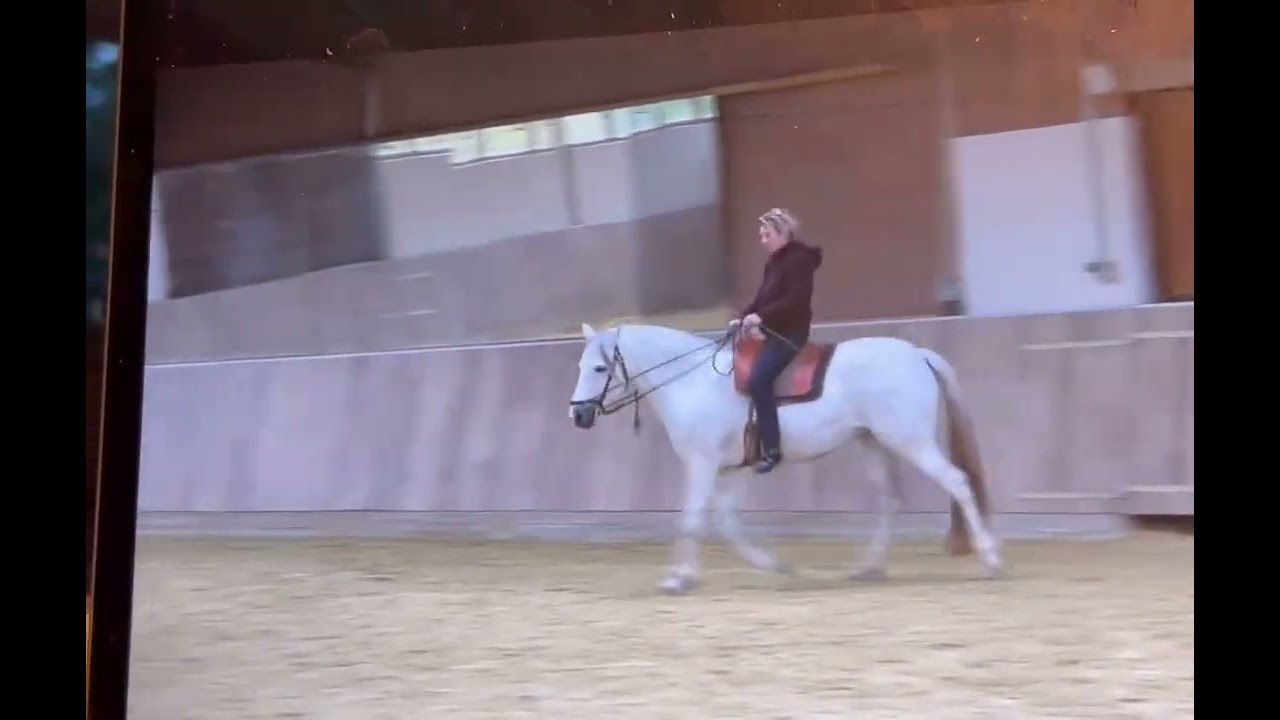 Dies war eine sehr interessante Trainingseinheit bei Marius Schneider Gest&uuml;t Moorhof