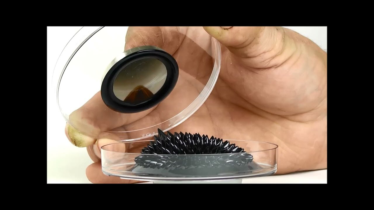 Smart material: Electrorheological and magnetorheological fluids
