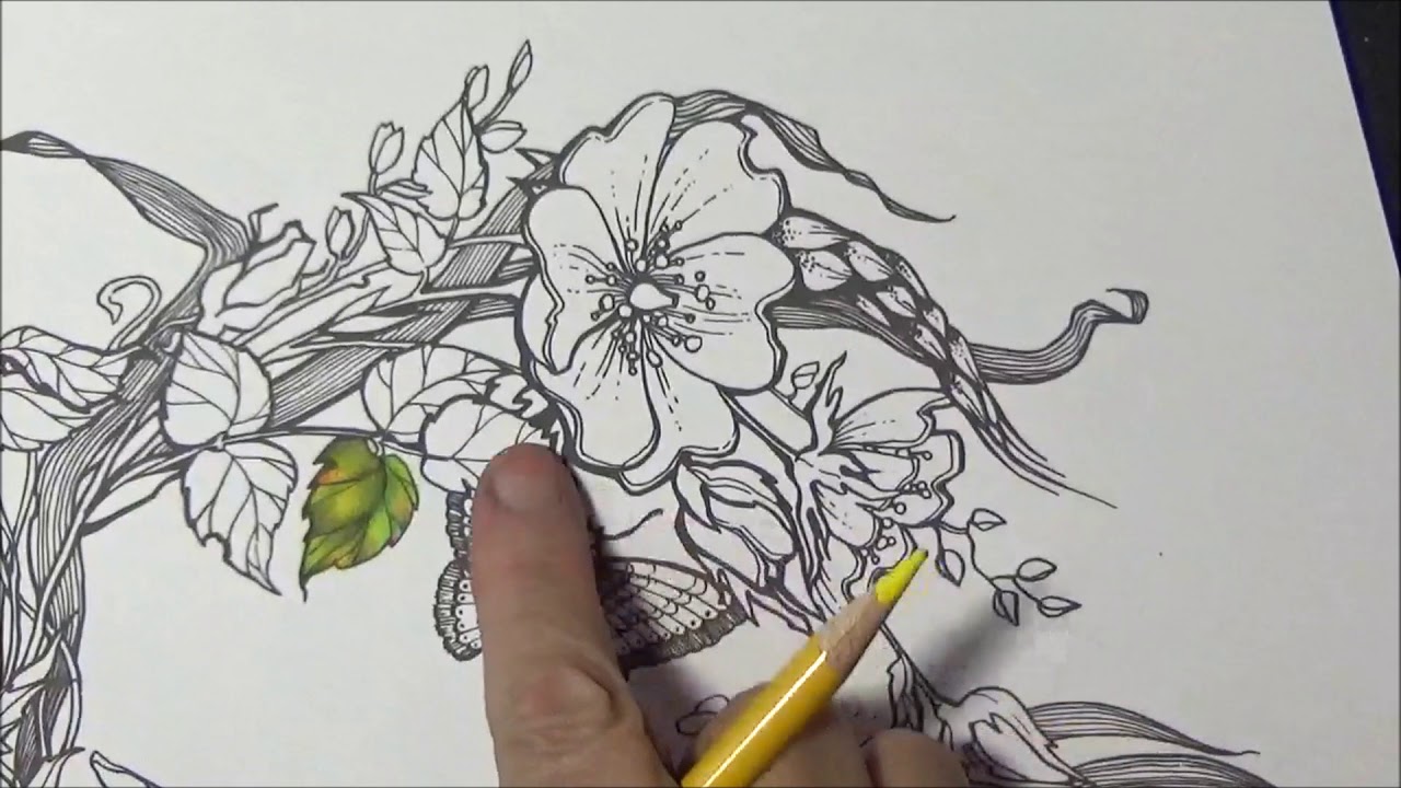 Coloring Vibrant Leaves And Flowers Extreme Coloring With Lisa Brando Prismacolor