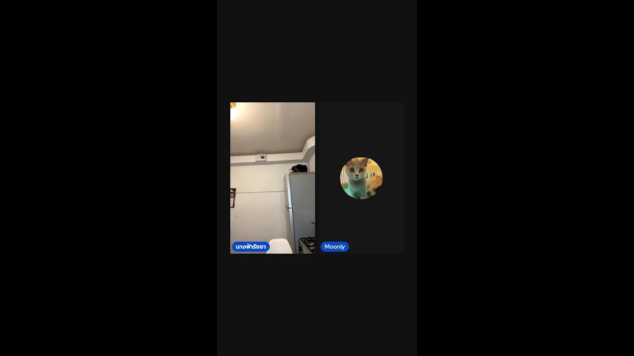 คิดถึงเพื่อน ๆค่ะวันนี้ ใครจะมาเต้นเป็นเพื่อนบ้าง