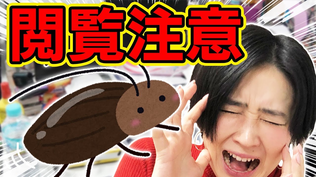 【#ドッキリ】ゴキブリ嫌いな りえっくすにイタズラしたらまさかの大号泣！？【えく☆ふら】