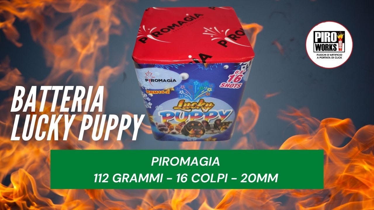 Test Batteria LUCKY PUPPY di PIROMAGIA - Buon rapporto QUALITA/PREZZO