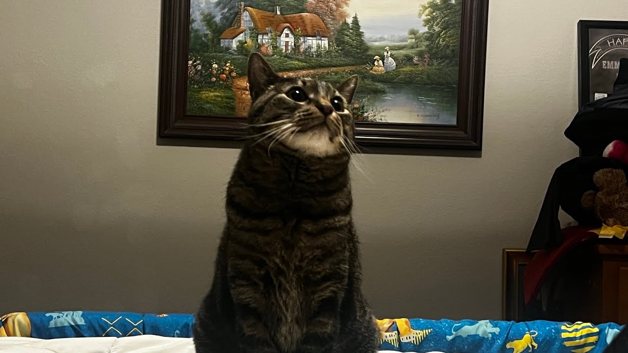 How to beat hello neighbor easy read description