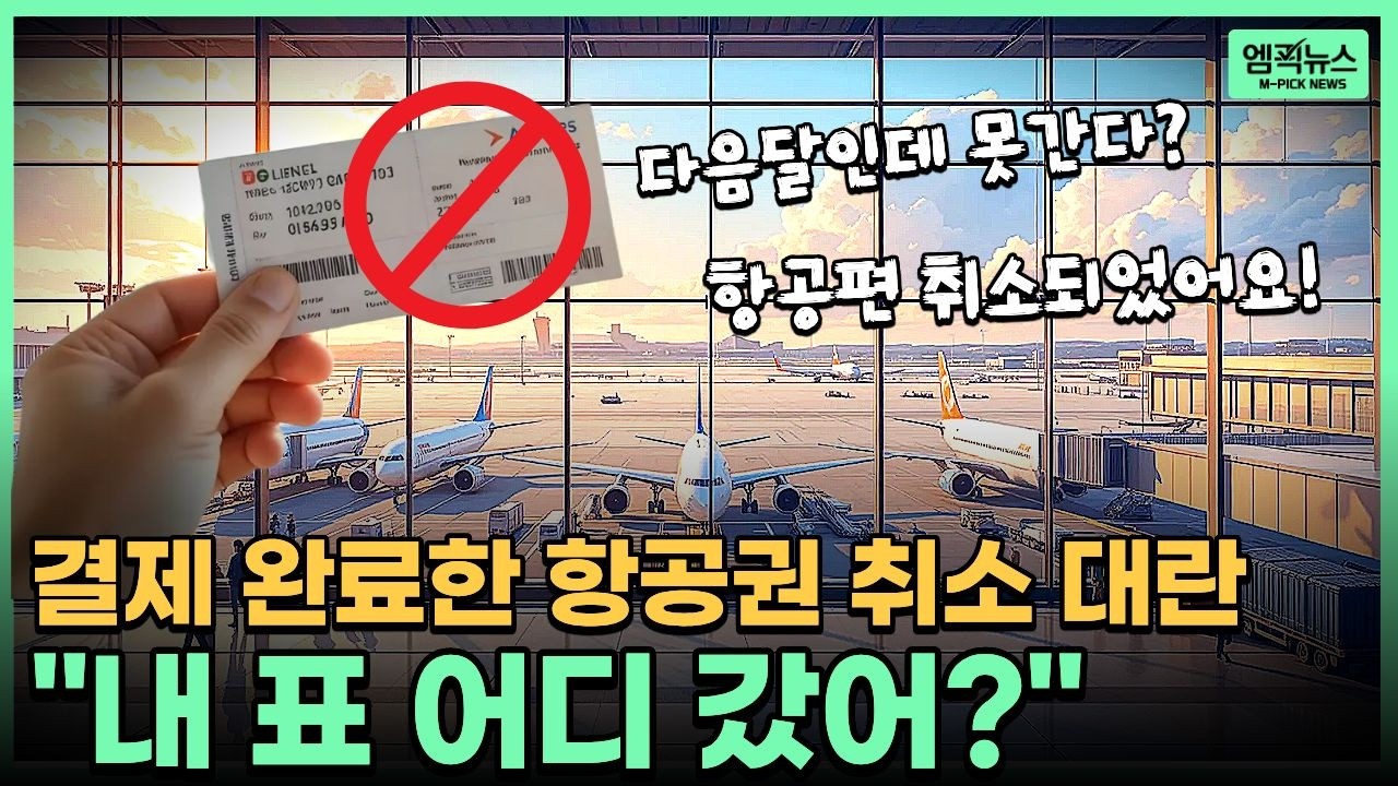 [엠픽] 항공유 폭등에 비행기 띄울수록 적자? 항공사의 '일방적 취소'에 소비자가 대응하는 방법 #유가폭등 #항공사 #항공권취소 #국제선 #국내선 #비행기