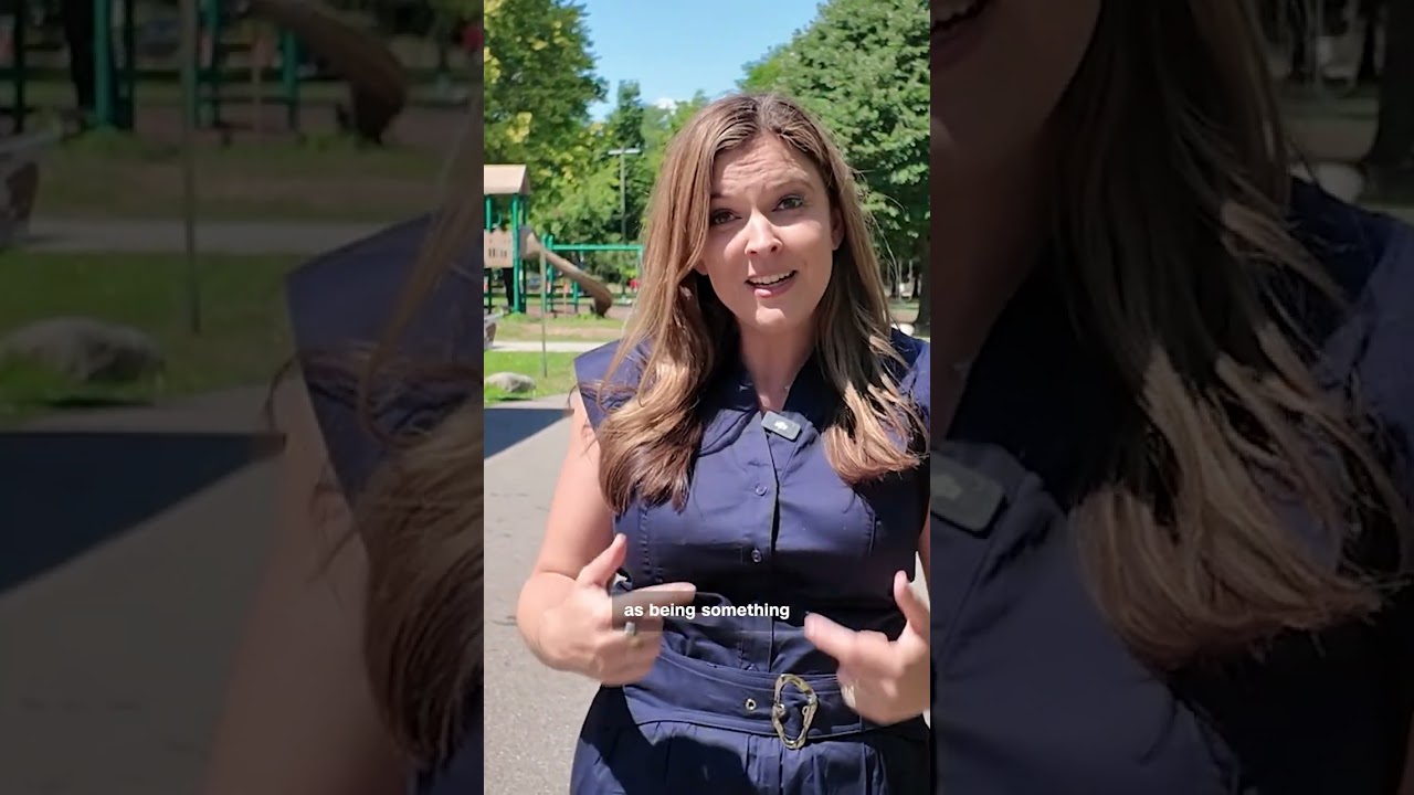 Michigan Democratic voters explain their vote in Senate primary