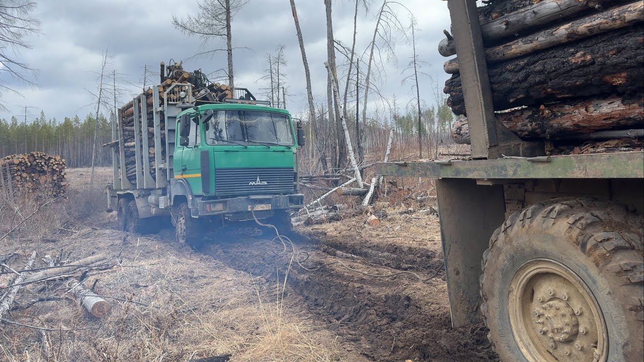 Вытаскиваем МАЗ 6х6.Пригнал КАМАЗ 4310! Старый конь борозды не портит