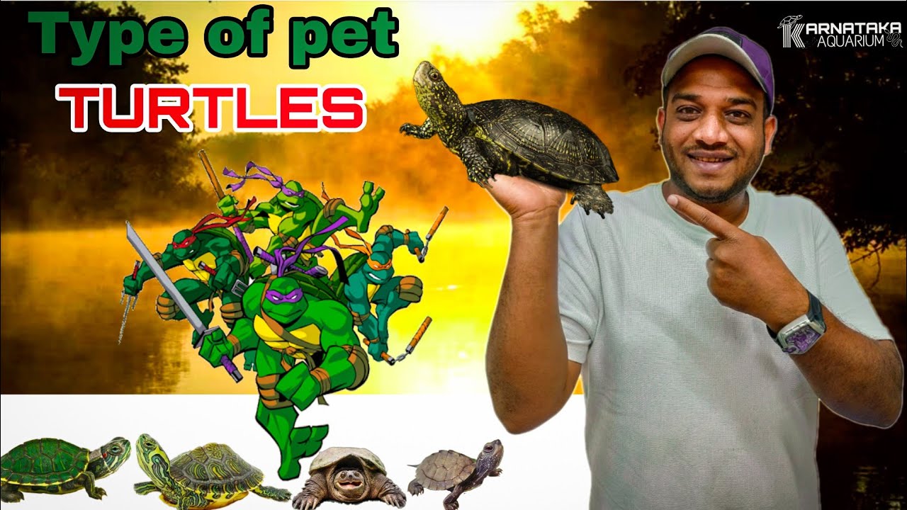 Types of exotic Turtles🐢- pet in india | karnataka Aquarium | kannada 