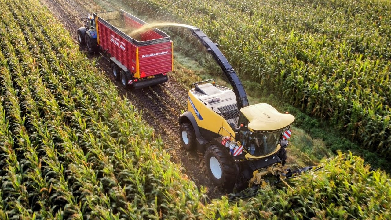 CORN SILAGE - New Holland FR650 + T7 + FENDT 820| loonbedrijf fa. de gorter | mais hakselen