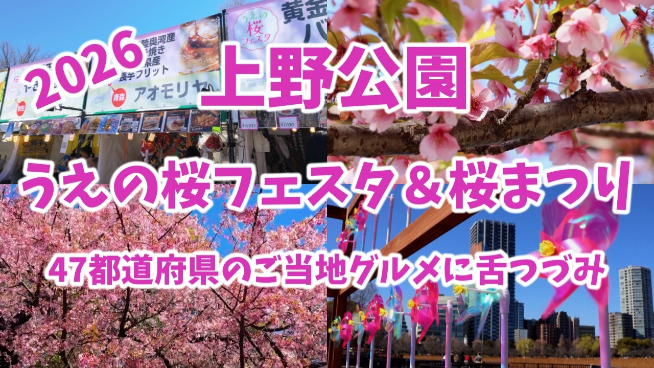上野公園 今年もうえの桜まつり＆桜フェスタが始まりました！/Ueno Park Ueno Sakura Festival/4K