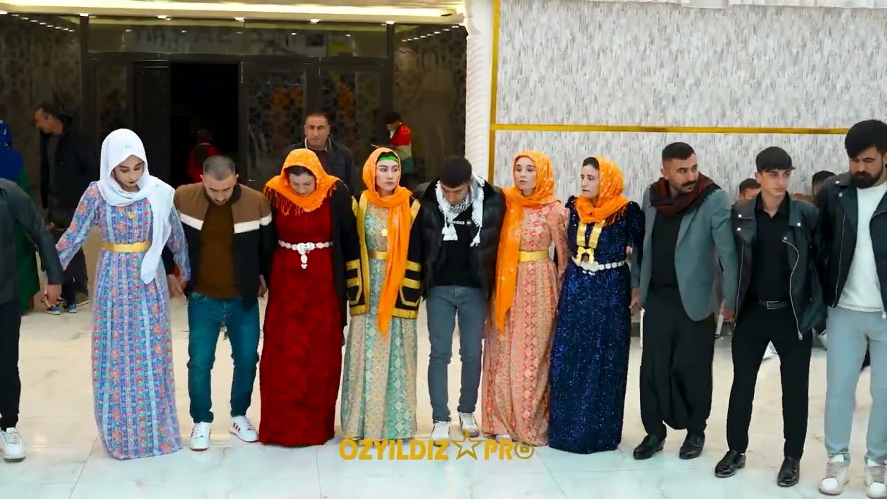 Viranşehir Düğün Gecesi Tam Bir Şovdu #halay #halaymashup #düğün #halaybasi #wedding