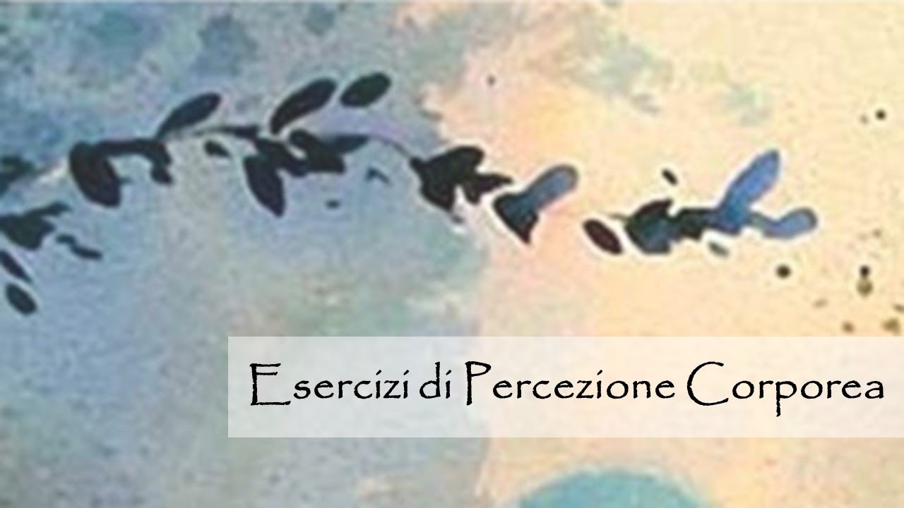 Esercizi di percezione corporea - Body perception exercises