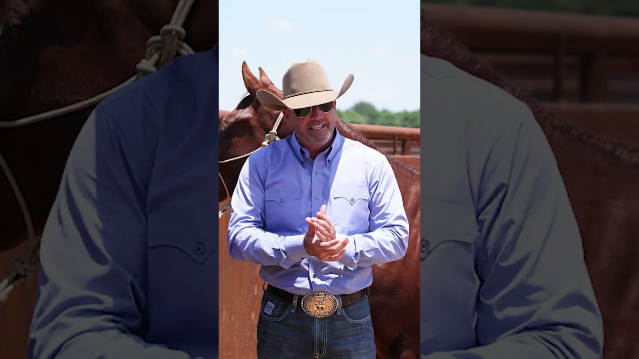 Tie Rings: Teach Your Horse to Tie With Confidence